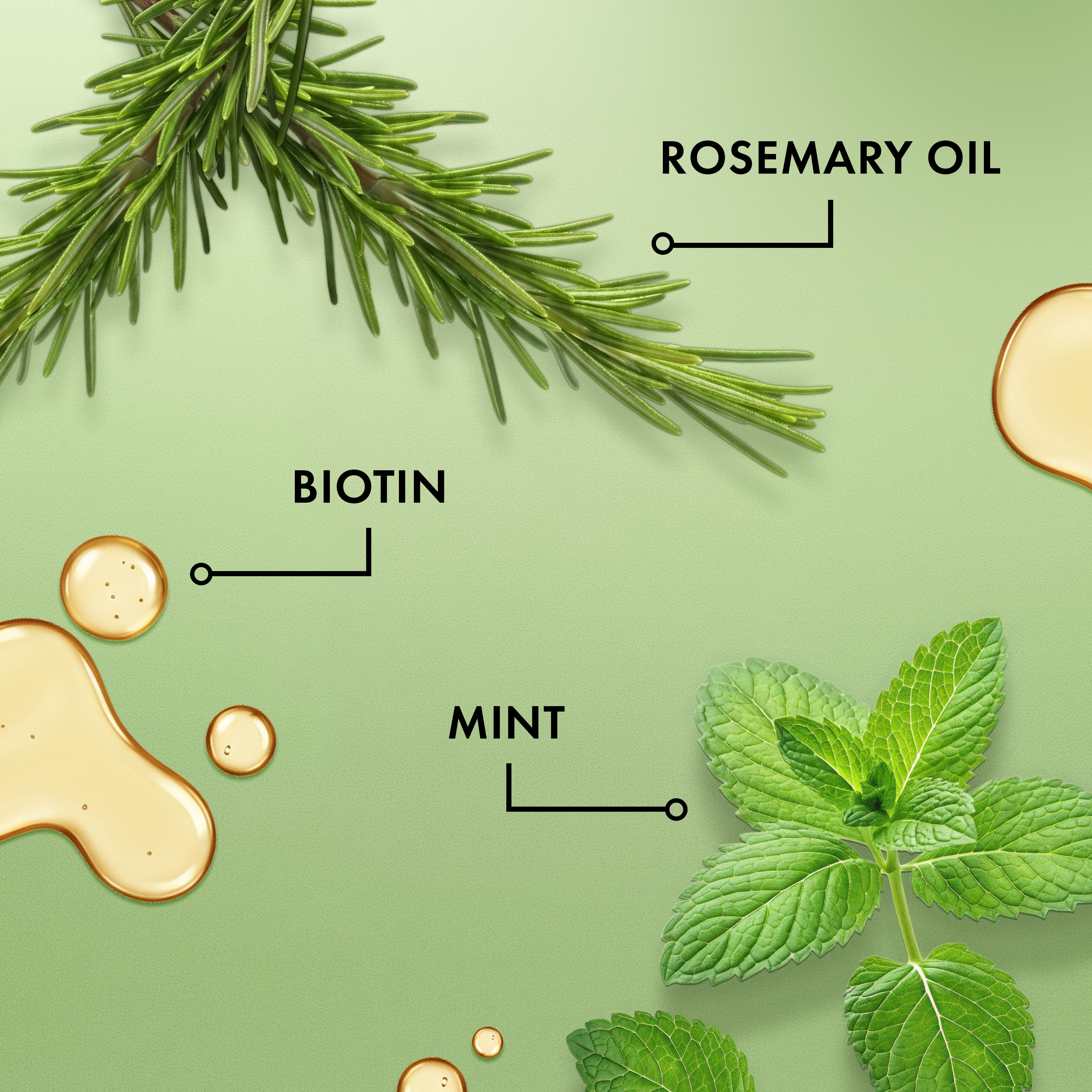 Rosemary Mint Strengthening Hair Masque